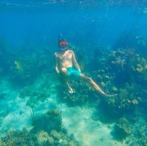 Meet your Posher, Tyler